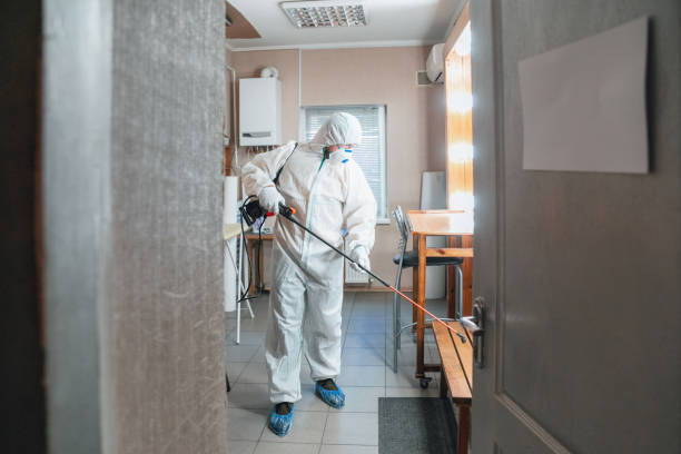 Best Mold Prevention Services  in Saint Davids, PA